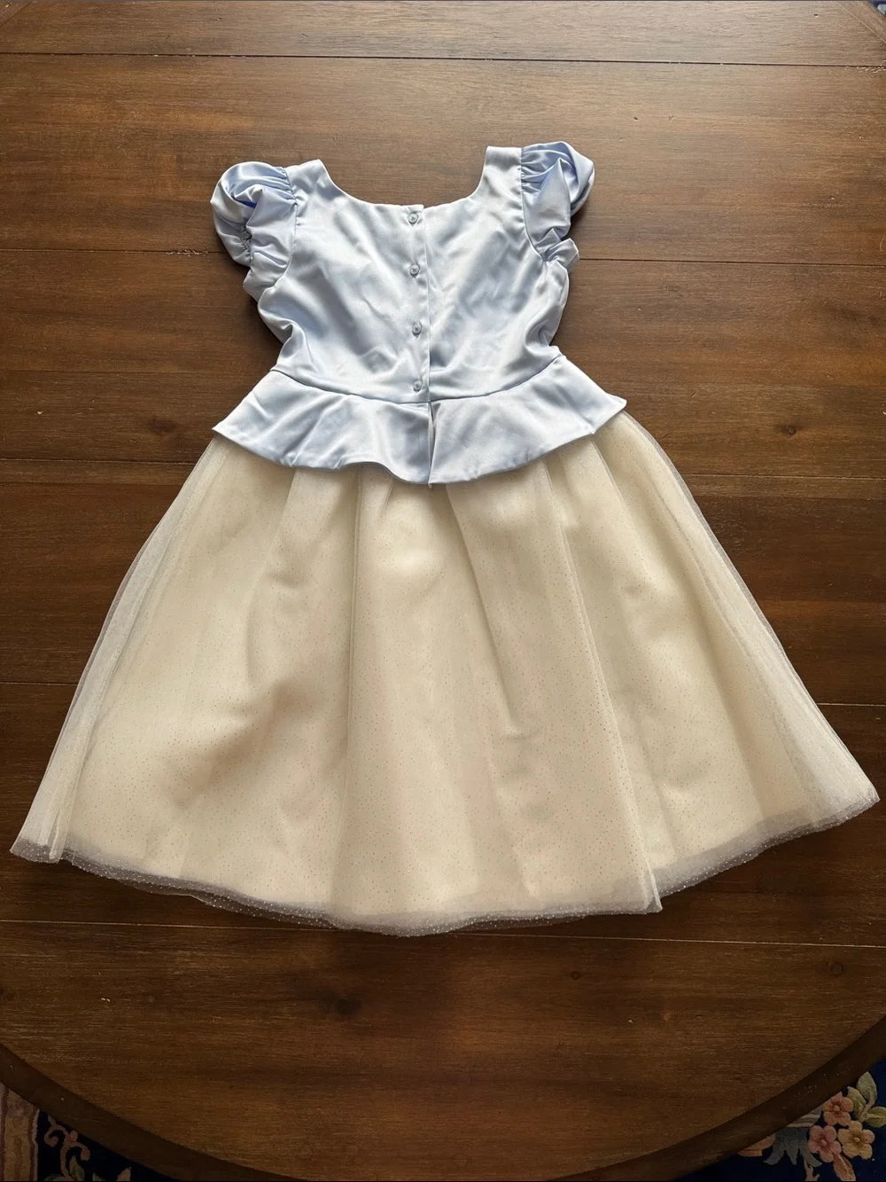 NWOT Sz 10 Disney X Janie and Jack Cinderella tulle dress